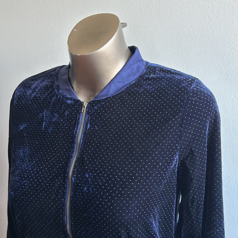 Blue Velvet Zip Up Sweater Amaryllis Large .